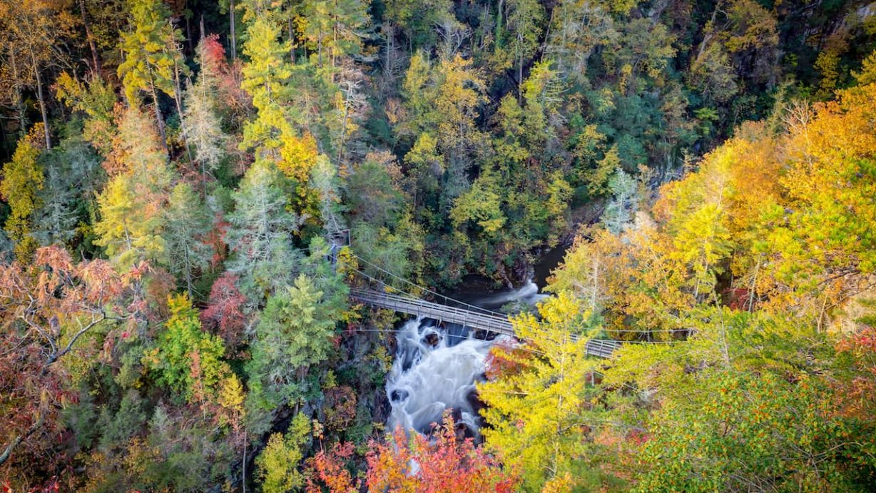 Fall in North Stunning Foliage Spots & Festivals