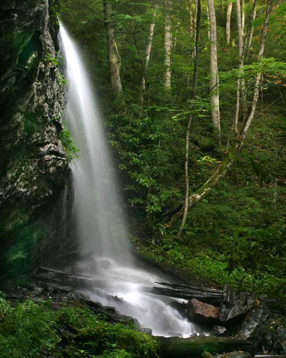 Denton Branch Falls