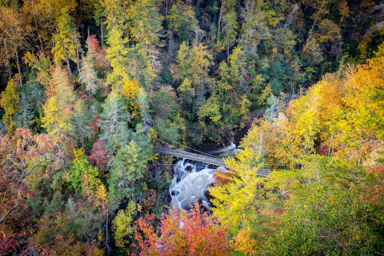 Fall in North Georgia: Stunning Foliage Spots & Festivals