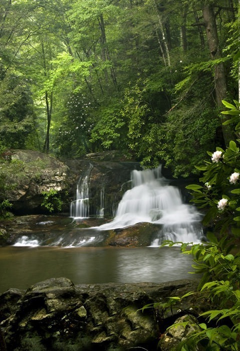 north georgia hiking