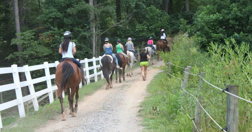 Lunch Horseback Ride