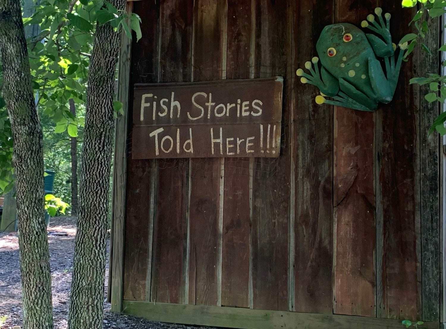 Fish Camp cottages in the woods