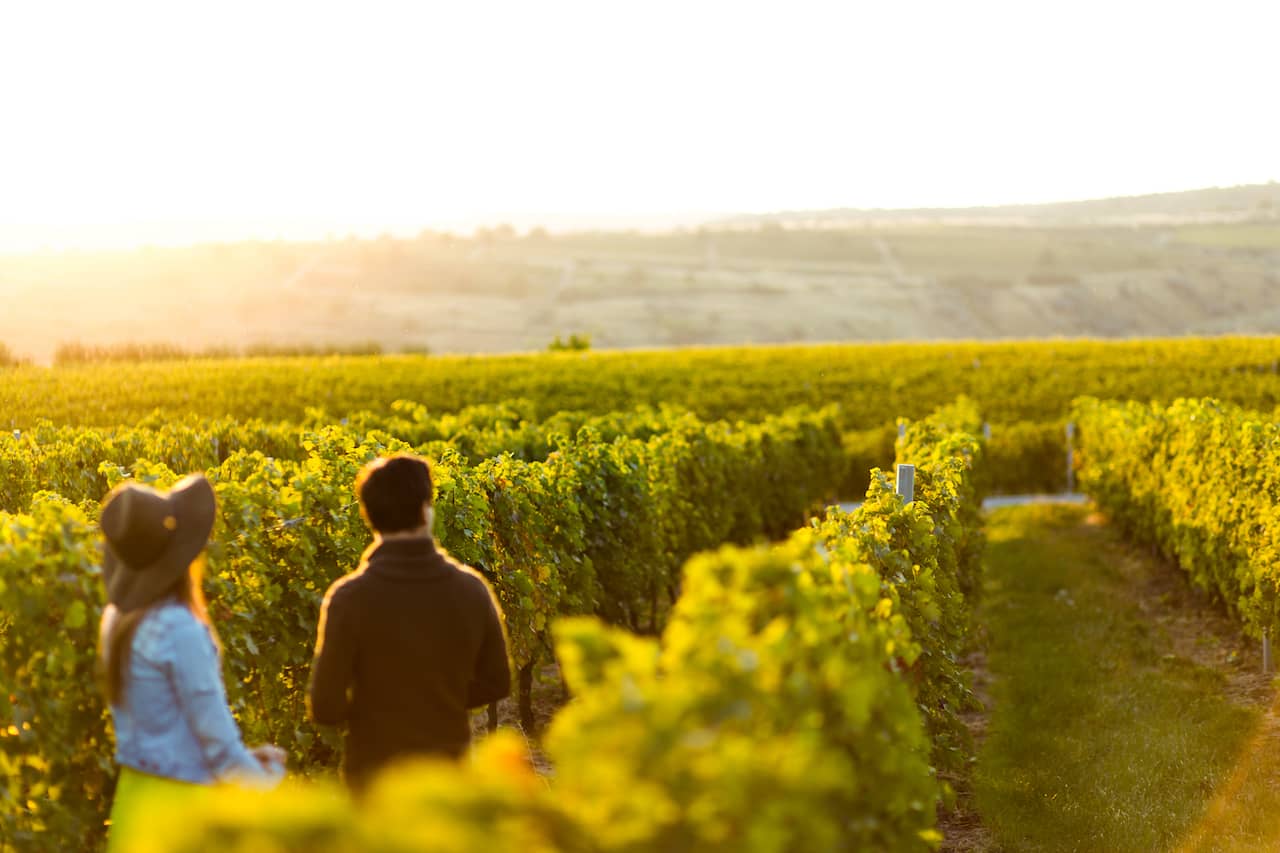 Five Charming North Georgia Wineries to Fit Into Your Vacation