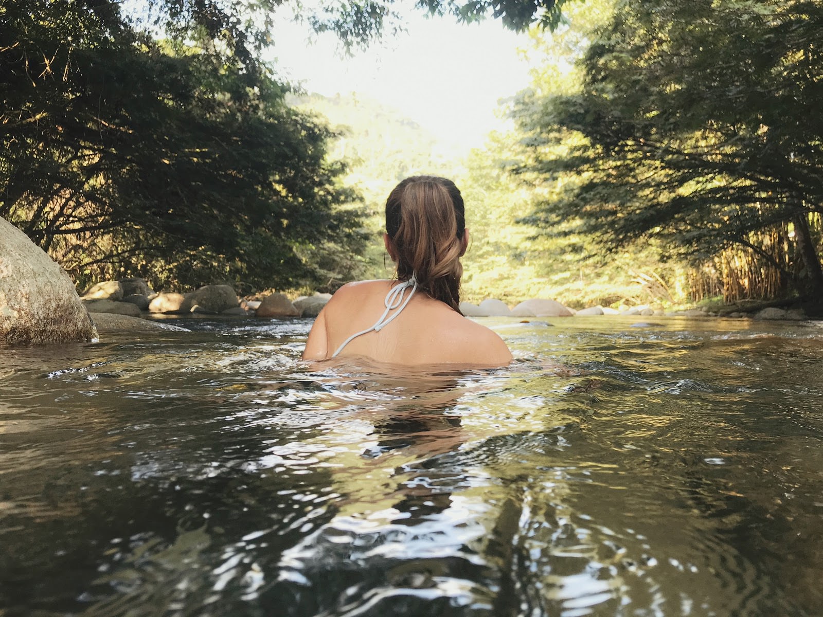 north georgia cabin rentals pet friendly