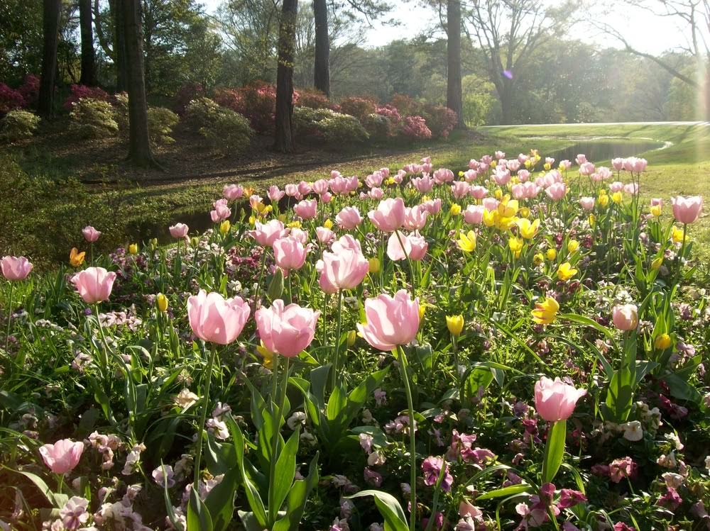 Pine Mountain’s Garden and Safari