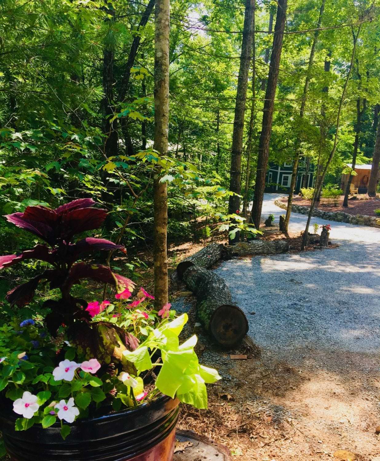 Fish Camp cottage exterior and garden